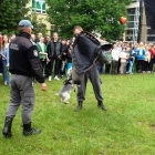 Biesiada u króla Jana